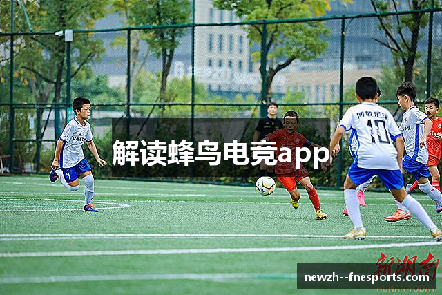 蜂鸟电竞官方网站-竞技赛事查询 Fengniao Game